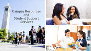 Students talking, walking around campus, and working